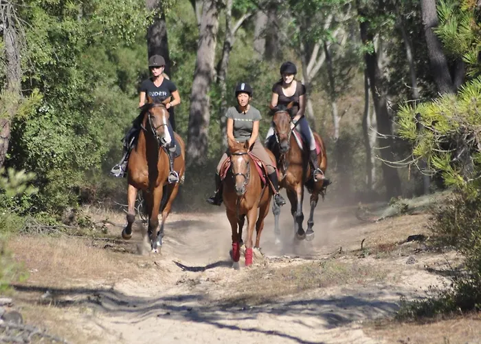 Alcove A Jean De Monts Avec Balcon Et Garage, Proche - Fr-1-323-417 *