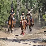 Alcove A Jean De Monts Avec Balcon Et Garage, Proche - Fr-1-323-417 *